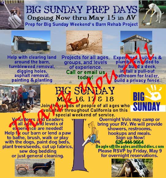 BIG-SUNDAY 2014